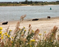 PXL_20250705_105931299