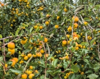 PXL_20250705_115254679