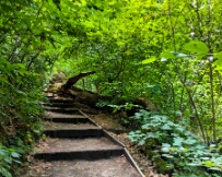 PXL_20250707_101642007