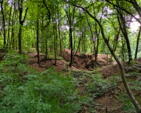 PXL_20250707_105539943