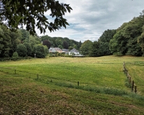 PXL_20250707_120835904