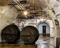 PXL_20250228_112221836 Pilsner Urquell Brewery cellars, Pilsen