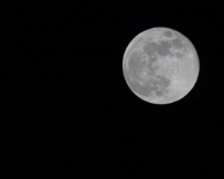 CRW_4947
