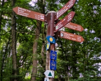 IMG_4970_PXL_20250826_181342558 Mullerthal, Little Switzerland, Luxembourg