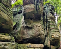 IMG_5021_PXL_20250827_095353188 Mullerthal