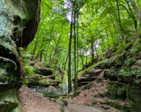 IMG_5065_PXL_20250829_092924600 Mullerthal