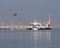 IMG_0079a